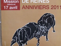 Kuhkampf Mission 2011