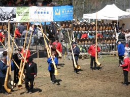 KuhkampfMission 2011