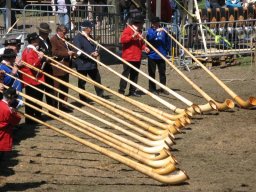 KuhkampfMission 2011